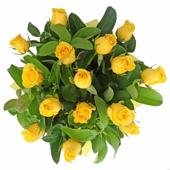 Roses For Tigers - Standard (view 3 of 4)