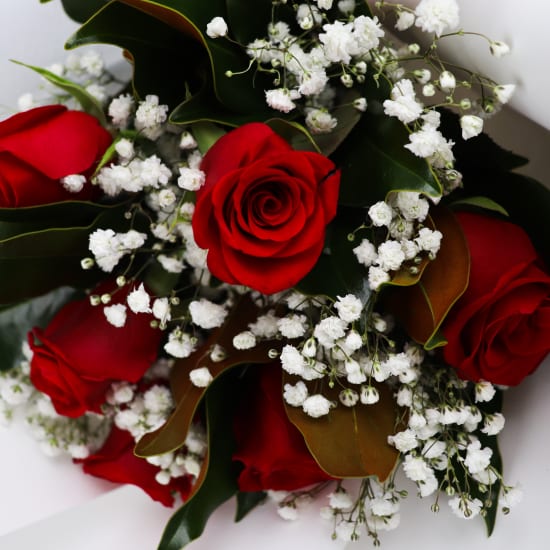Simply Gorgeous Red Roses - Standard