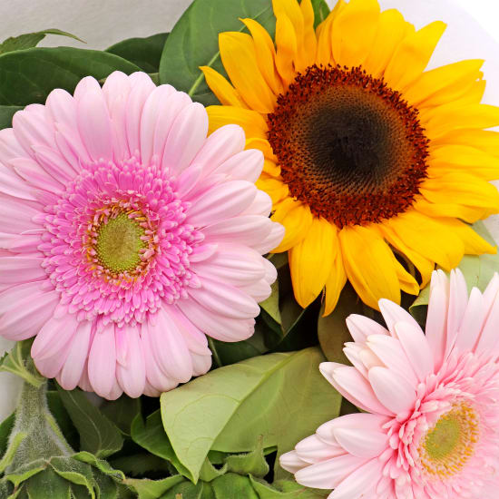 Sunshine Bliss Flower Posy - Standard