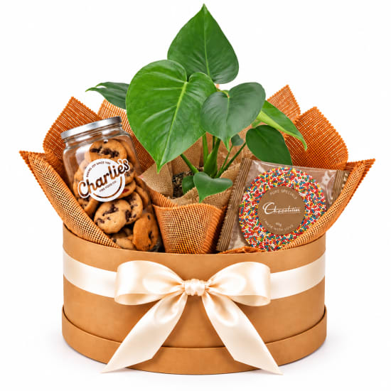 🌿🍪 Monstera Treats & Delights Plant Hamper 🍪🌿 - Standard