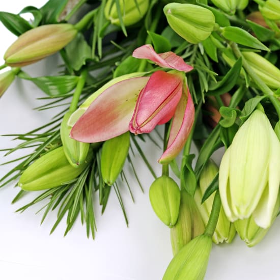 Mixed Pastel Lily Bunch - Deluxe