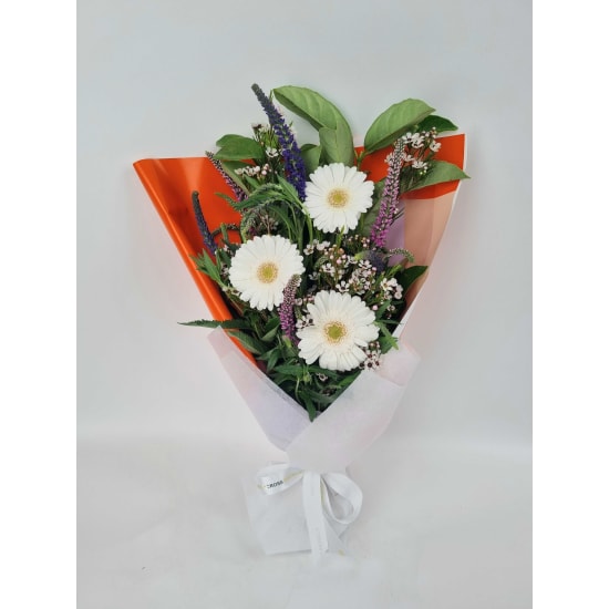 Daily Bouquet Pure Delight - Standard