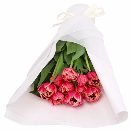 Pink Tulip Bunch - Standard