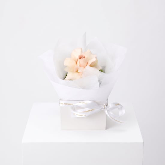 Rosie Bloom – Single Rose Mini Box Arrangement - Standard (view 3 of 6)