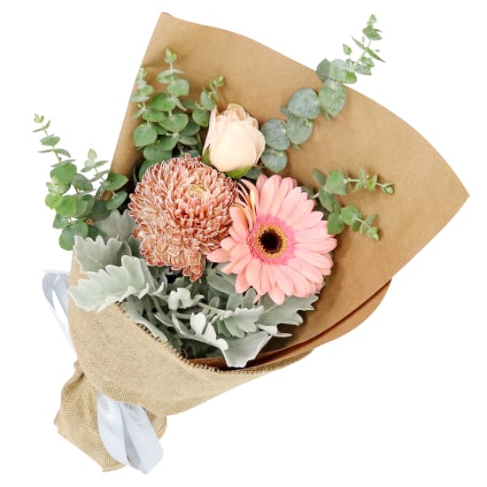 Just Peachy - Standard