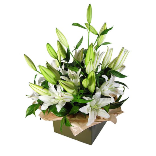 Pure Elegance White Lily Flower Box - Deluxe (view 3 of 3)
