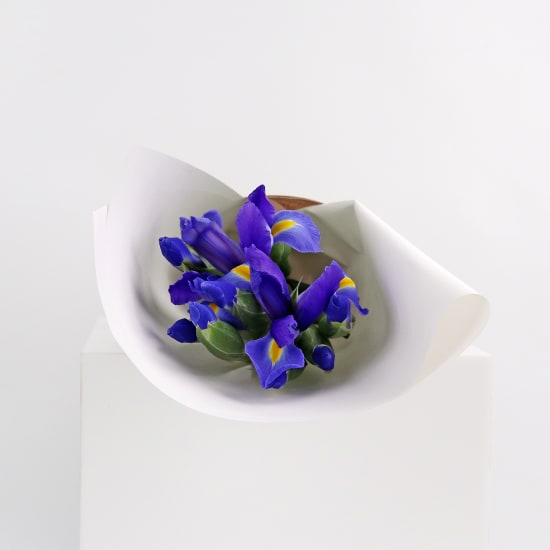Blue Iris Flower Bouquet - Standard