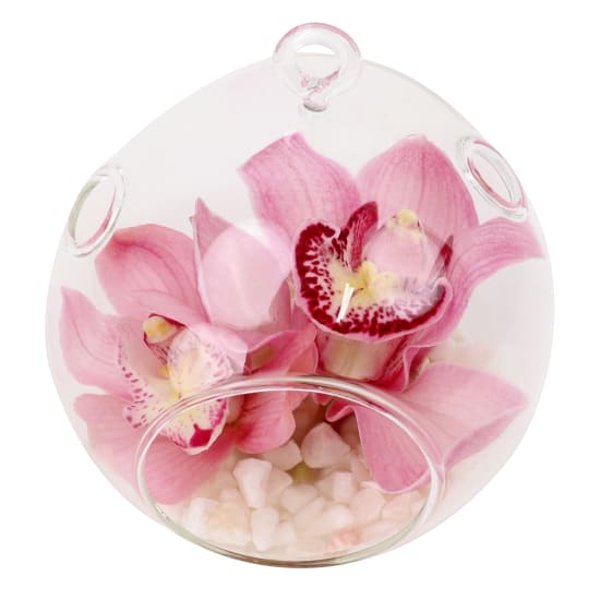 Orchid Orb - Deluxe
