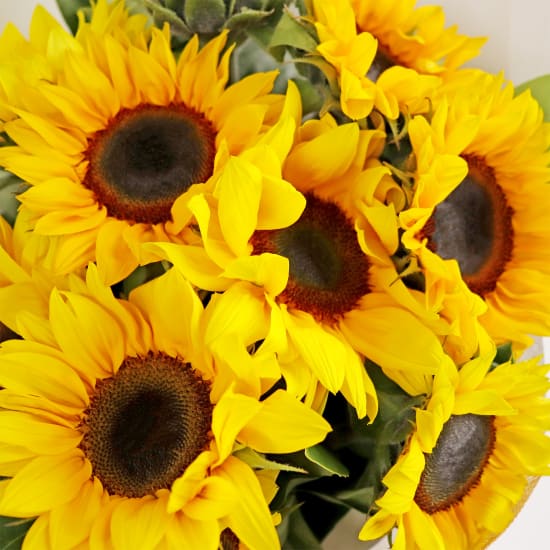 Sunflower Bunch - Deluxe (view 3 of 7)
