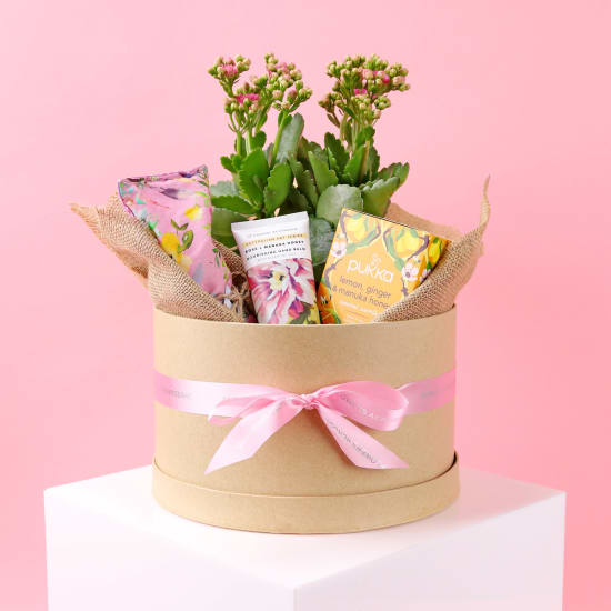 Winter Wellness Gift Boxed Hamper - Standard
