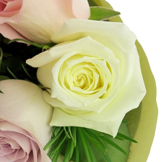 Pastel Roses - 6 Roses (Half Dozen)