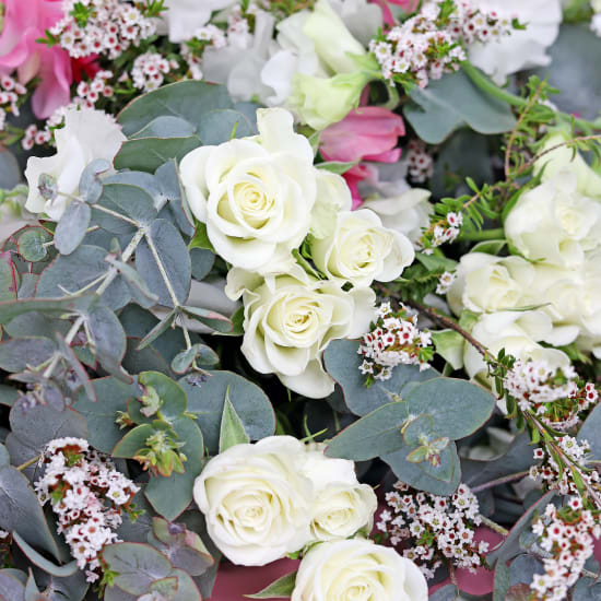 My Whole Heart - Standard