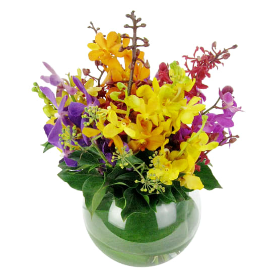 Orchid Fish Bowl Flower Arrangement - Deluxe