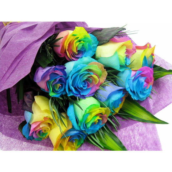 Rainbow Roses - 12 Roses (One Dozen) (view 4 of 4)