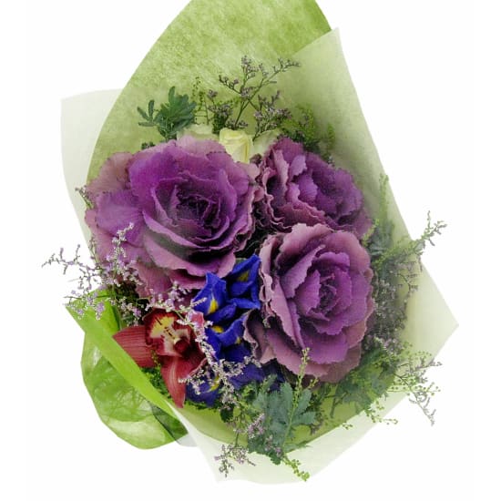 Whispers Of Winter - Standard