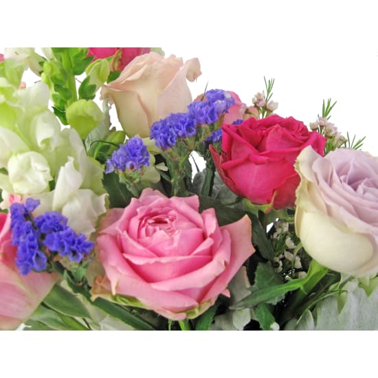 Moonstruck - Standard