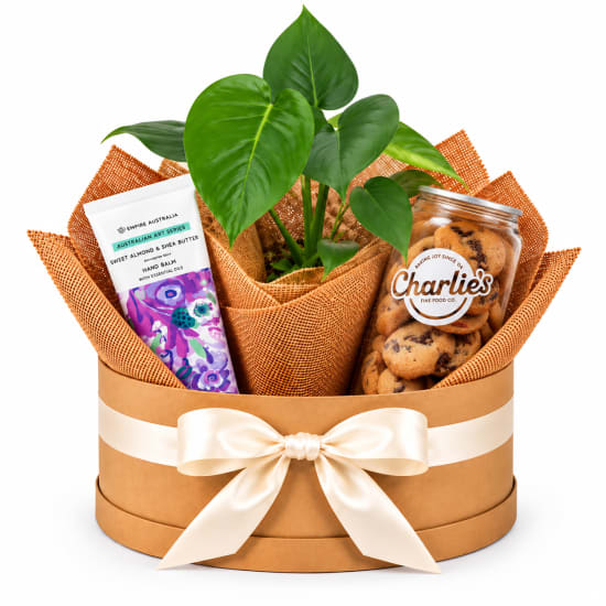 🌿🍪 Monstera & Bikkie Bliss Plant Hamper 🍪🌿 - Standard