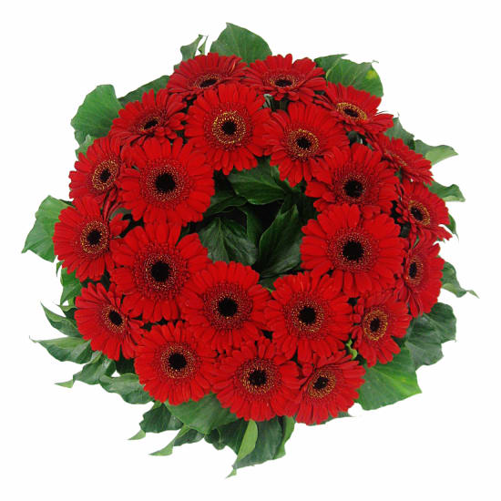 Daisy Chain Wreath - Standard