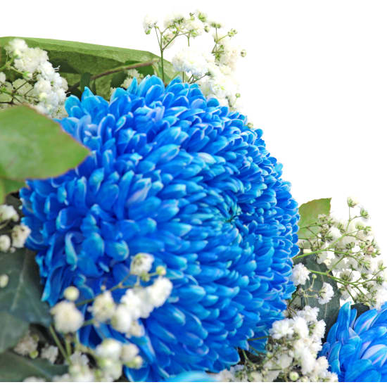 Blue Darling Disbuds Bouquet  - Standard