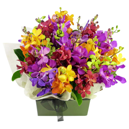 Kaleidoscope Orchid Flower Box - Premium (view 3 of 3)