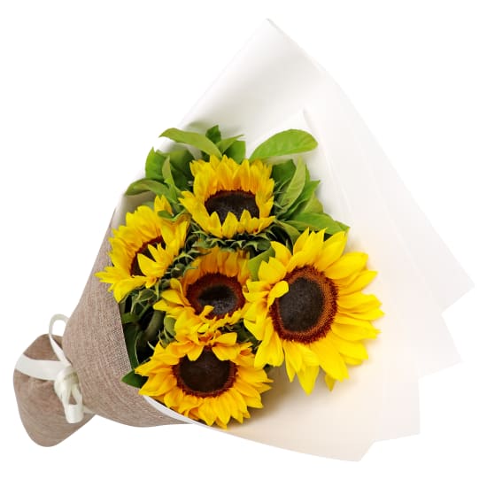 Sunflower Bunch - Standard