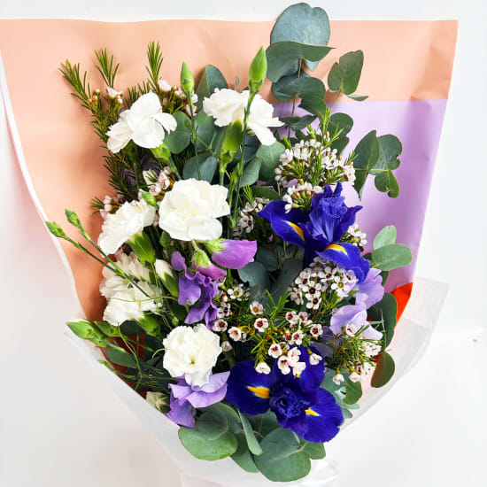 Daily Bouquet Radiant Flourish - Standard