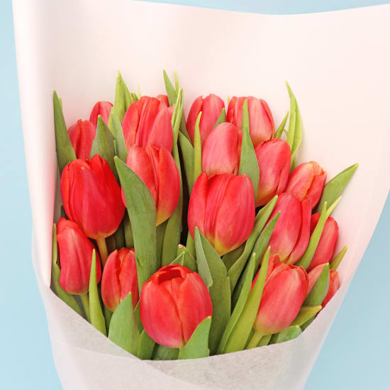 Tulip Bouquet - Deluxe