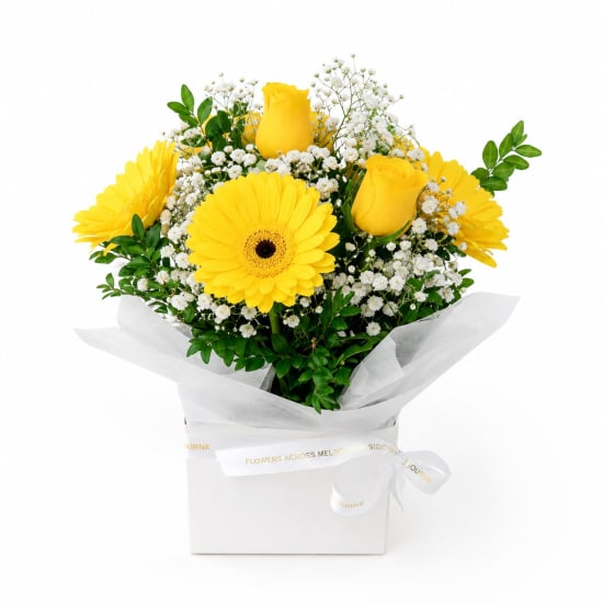 Levity Bloom Box - Standard