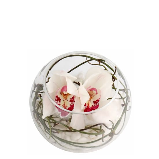 White Cymbidium Orchid Glass Fish Bowl Arrangement - Standard