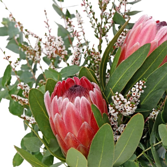 Pretty Protea Jar - Deluxe