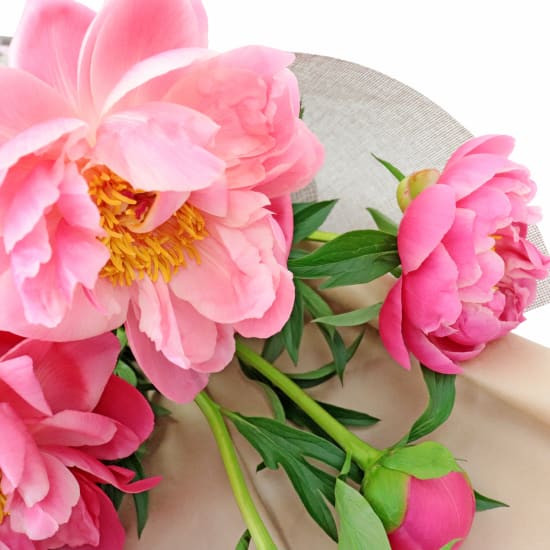 Coral Crush Peonies - Deluxe