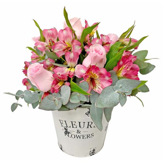 Moondrop Pink - Standard