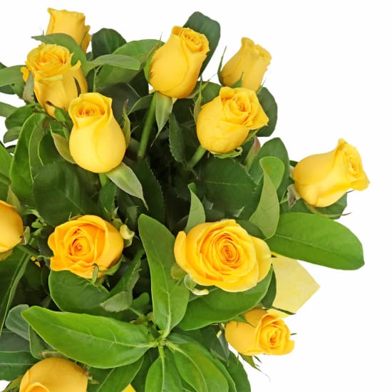 Roses For Tigers - Standard (view 2 of 4)