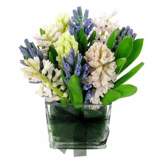 Hyacinth Vase - Deluxe