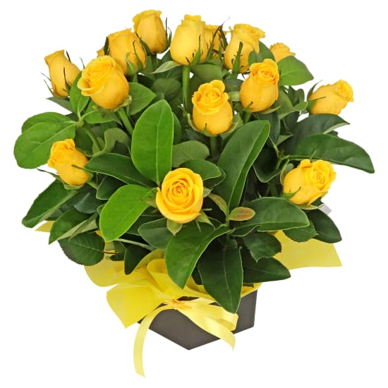 Roses For Tigers - Standard (view 4 of 4)