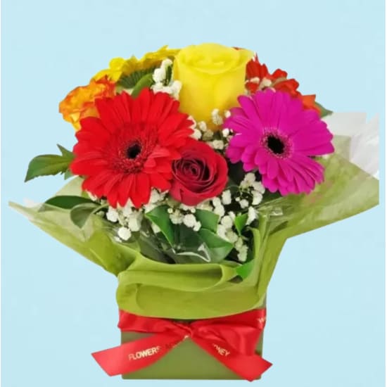 Levity Bloom Box - Standard