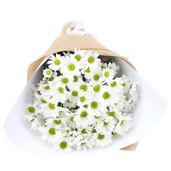 White Chrysanthemum Bunch - Deluxe