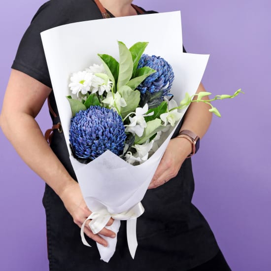 Blue Angel - Standard