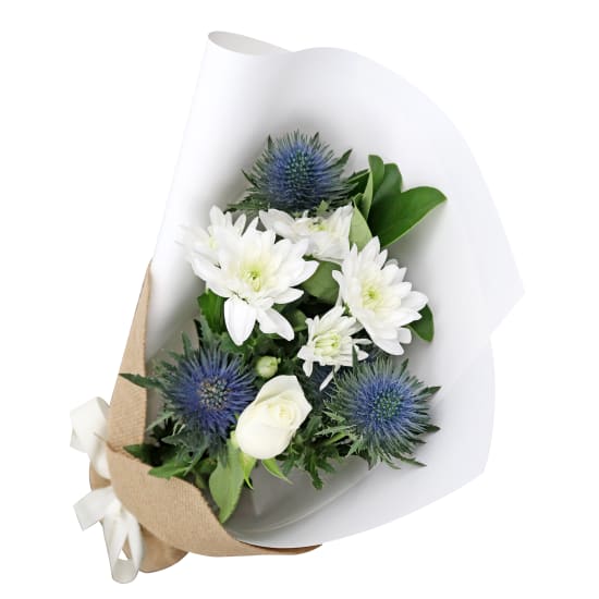 Seaholly Serenade - Standard