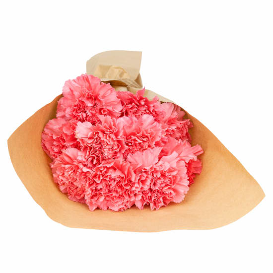 Market Bunch   Pink Carnations - Standard