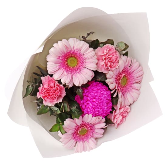 Pink Appreciation Blooms  - Standard