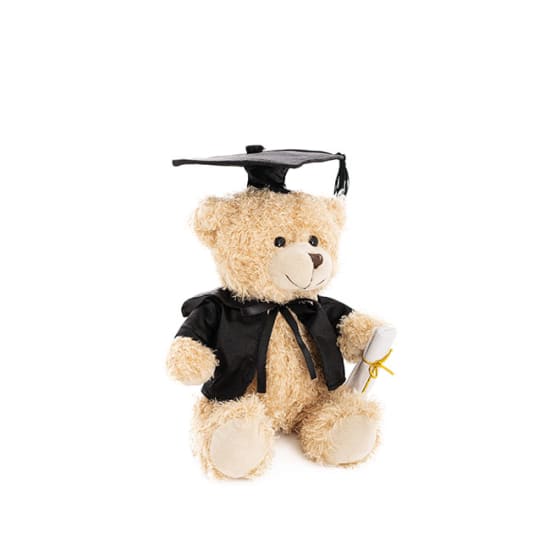 Graduation Teddy Bear - Standard