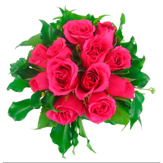 Bright Pink Rose Vase - Standard