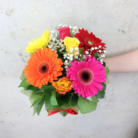 Levity Bloom Box - Standard