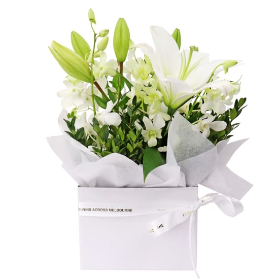 Making Magic - White  - Premium