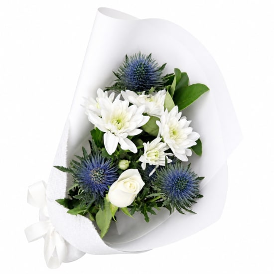 Seaholly Serenade - Standard