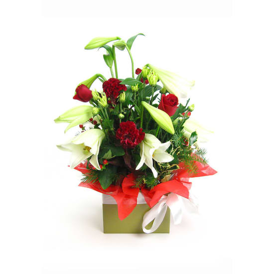 Festive Cheer - Standard