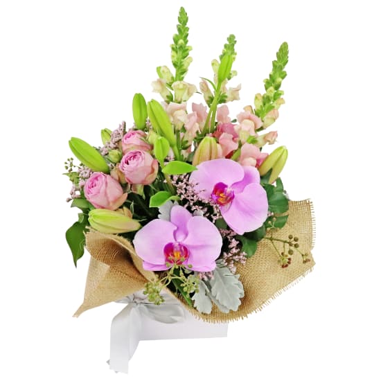 The Ballerina's Flower Box - Standard