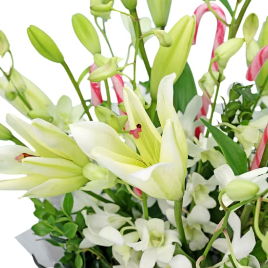 Making White Christmas Magic - Deluxe