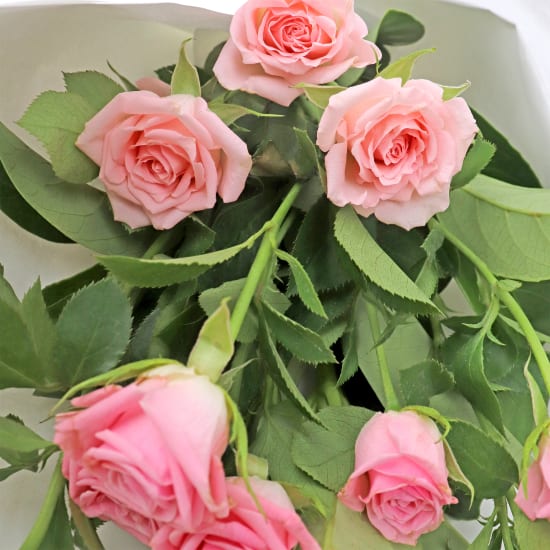 Just For You Pink Bouquet  - Standard